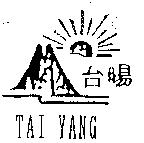 台暘 TAI YANG 及圖