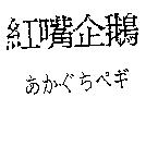 紅嘴企鵝あかぐちぺギ