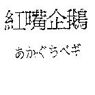 紅嘴企鵝あかぐちペギ