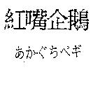 紅嘴企鵝あか.ぐちぺギ