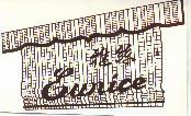 雅絲