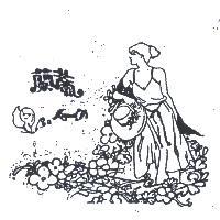 蘭蒂及圖 LAND TI 