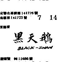 黑天鵝 BLACK – SWAN 
