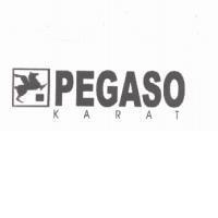 KARAT PEGASO 及圖