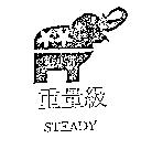 重量級 STEADY 及圖