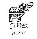 重量級 STEADY 及圖