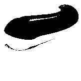 Design of STRIPED TOOTHPASTE