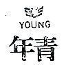 年青及圖 YOUNG 