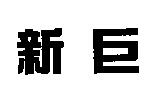 新巨