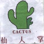 仙人掌及圖 CACTUS