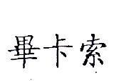 畢卡索