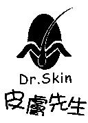 皮膚先生 Dr.Skin