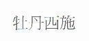 牡丹西施