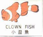 小丑魚及圖 CLOWN FISH