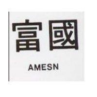 富國 AMESN