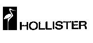 HOLLISTER & STYLIZED BIRD