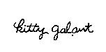 Kitty galant