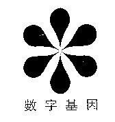 數字基因及圖
