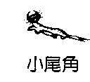 小尾角及圖