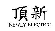 頂新 NEWLY ELECTRIC