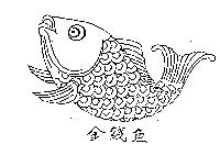 金錢魚及圖