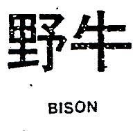 野牛 BISON 