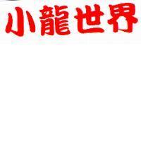 小龍世界
