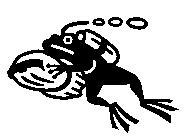 蛙人圖