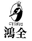 鴻全 CYGNUS 及圖