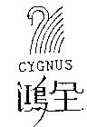 鴻全 CYGNUS 及圖