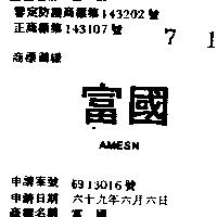 富國 AMESN 