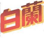 白蘭設計圖