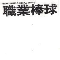 職業棒球 PROFESSIONAL BASEBALL