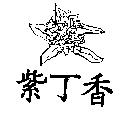 紫丁香及圖