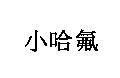 小哈氟