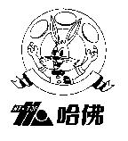 哈佛 HI-TOP 及圖