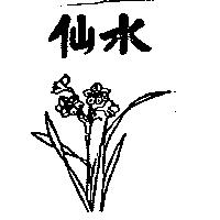 水仙及圖