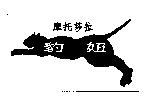 摩托莎拉及圖豹妞