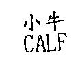 小牛 CALF