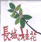 長城桂花及圖