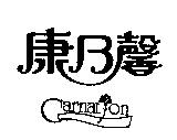康乃馨 Carnation 及圖