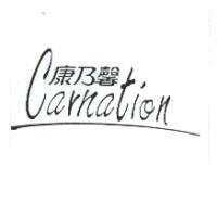康乃馨 Carnation