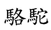 駱駝
