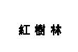 紅樹林