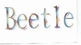 Beetle