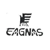 EAGNAS 及圖