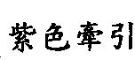 紫色牽引