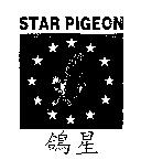 鴿星 STAR PIGEON 設計圖