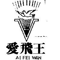 愛飛王及圖 AI FEI WAN 