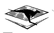 WINFIELD RACING KANGAROO Device Mark